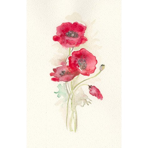 Decoration wedding albums, red poppies watercolor