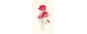 Decoration wedding albums, red poppies watercolor