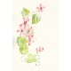 Decoration for wedding photo album, flower Geranium