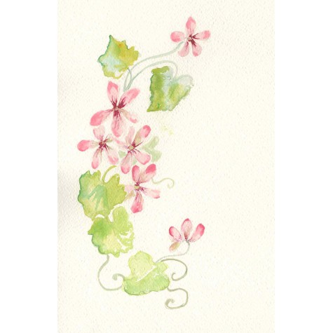 Decoration for wedding photo album, flower Geranium