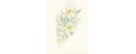 Decoration for wedding photo album flower White lily