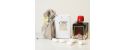 Balsamic Vinegar of Modena I.G.P.