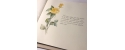 Dedication or names written by hand on the inside pages